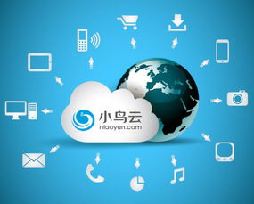 小鳥云計(jì)算 以中立與品質(zhì)為核心，賦能企業(yè)數(shù)據(jù)處理與存儲(chǔ)